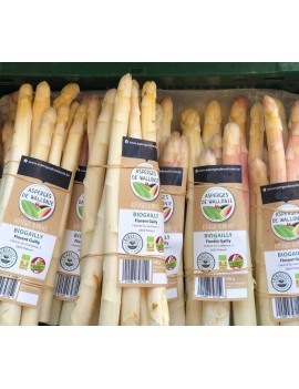 Witte asperges (1 bos...