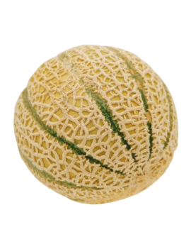 Cantaloupe meloen (4...