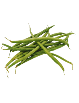 Haricot vert (4 kg) -...