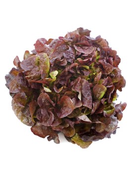 Salade feuille de...