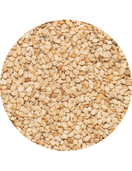 GRAINES DE SESAME