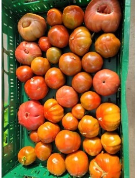 Tomate Noire de Crimée...