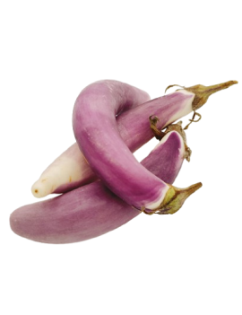 Aubergine Ping Tung (5...