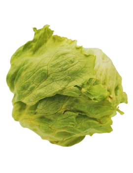 PRECO - Salade Iceberg...