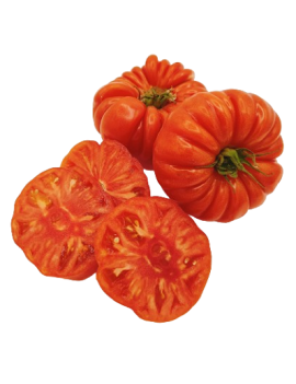Tomates Coeur de boeuf...