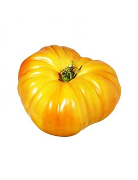Tomaten ananas (5kg-...