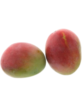 Mangue Keitt cal. 9 (4...