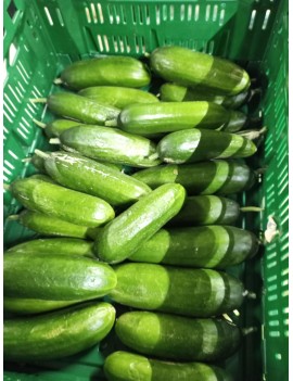 Snackkomkommer (1 st)...