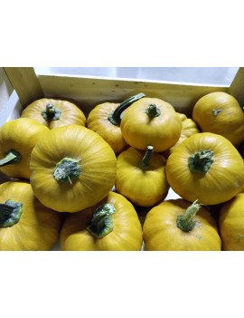 Jack Be Little-pompoen...