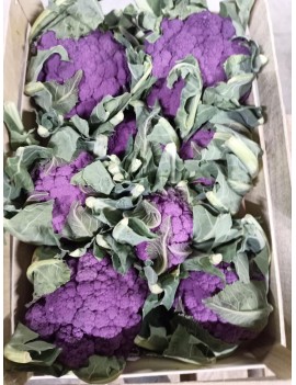 Chou-fleur violet (1...