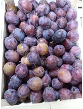 Prune Président (6 kg)...