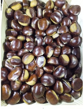 Bouche de Betizac...