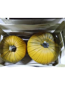 Courge Jack O'Lantern...
