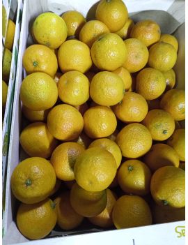 Clementine (6 kg) -...