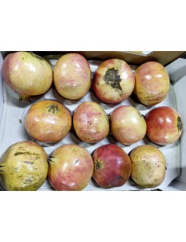 Grenade Mollar Elche...