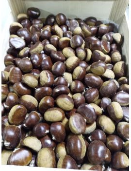 Châtaigne (5 kg) -...