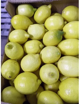 Citron Verdelli (6 kg)...