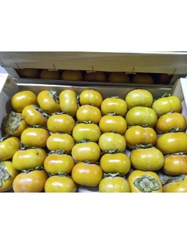 Kaki Fuyu (6 kg) -...