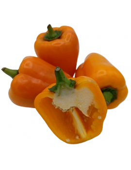 Poivron orange (3 kg)...