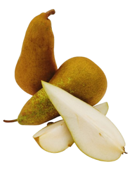 Peer Conference (13...