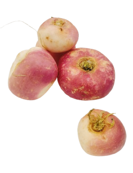 Navet violet (5 kg) -...