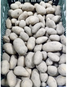 Allians aardappelen...