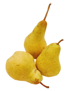 Alexandrijnse peer (13...