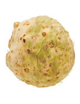 Céleri rave (10 kg) -...