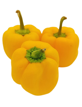 Gele paprika (3 kg) -...