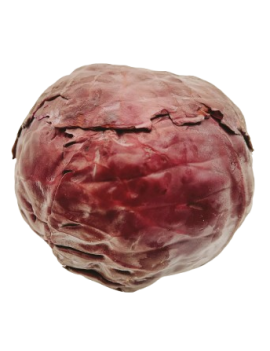 Chou rouge (1 pc) -...