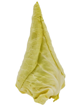 Chou pointu (1 pc) -...