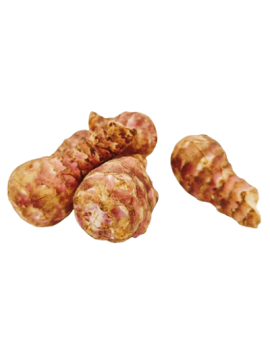 Topinambour (5 kg) -...