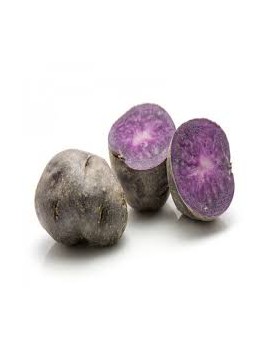 Aardappel Ulysse (5...