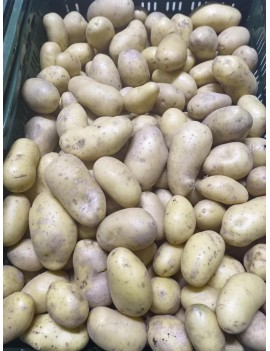 Pommes de terre fermes...