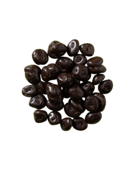 CANNEBERGES CHOCOLAT NOIR