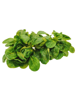 Veldsla (1 kg) - cat....