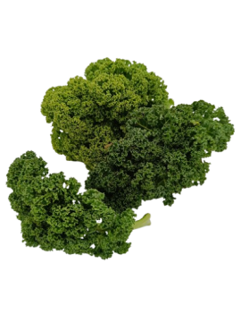 Boerenkool (3 kg) -...