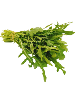 PRECO - Roquette (1...