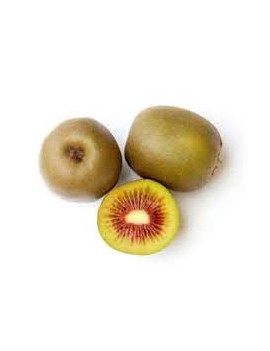 Kiwi Red Sun cal. 46...