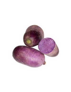 Radis Blue Meat (5 kg)...