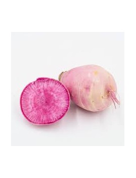 Radijs Pink Meat (5...