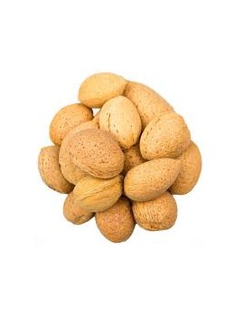 Amandelen met schil (4...