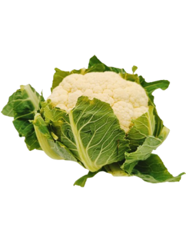 Bloemkool (1 st) -...
