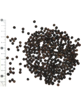 POIVRE NOIR GRAINS