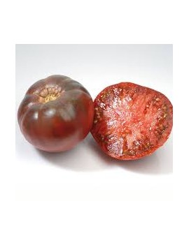 Tomate noire (3 kg) -...