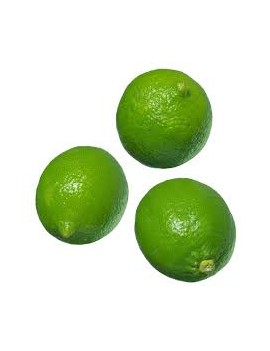 Citron vert (4 kg) -...