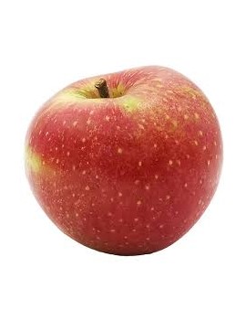 Pomme Wellant (12 kg)...