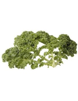 Boerenkool (3 kg) -...