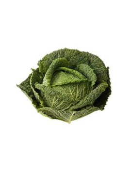 Chou de Savoie (1 pc)...