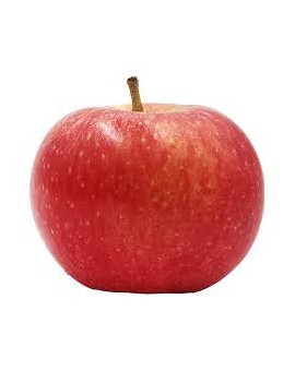 Pomme Santana (11 kg)...